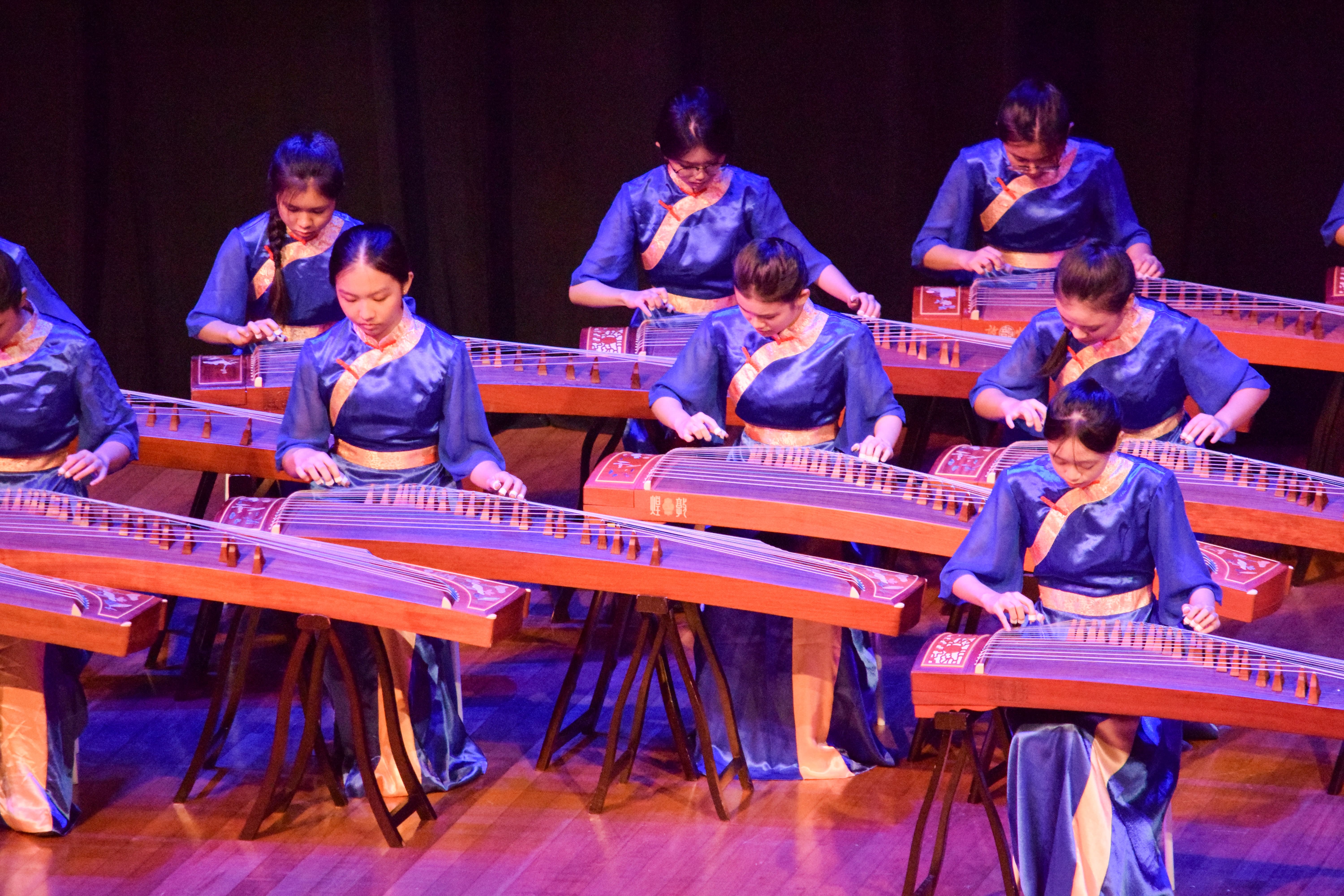 PL 110 Musical Montage Concert